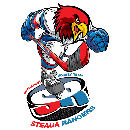CSA Steaua Bucuresti