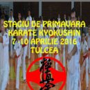 STAGIUL ZONAL DE KARATE KYOKUSHIN