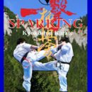 Kyokushin Karate Sparring