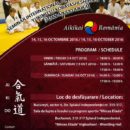 Aikido International Seminar