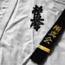 Cursuri de Initiere Karate Kyokushin