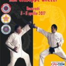 Seminar Kung Fu Shaolin, Tai Chi, Arme, Qigong