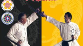 Seminar Kung Fu Shaolin, Tai Chi, Arme, Qigong