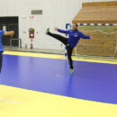 Portar La Handbal Vs Portar La Fotbal