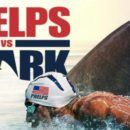 VIDEO INCREDIBIL! Michael Phelps s-a intrecut cu un rechin in apa. Cine a castigat cursa de 100 de metri