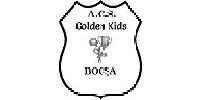 Club Sportiv Golden Kids Bocsa