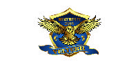 Club Sportiv Vulturii Bucuresti